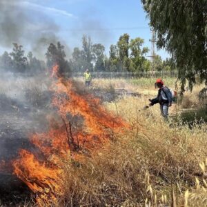 2022-Israel-Wildfire-Mission-2022-banner-2-compressed